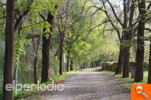 Zorío: 'En Burriana lo tenemos todo, solo hace falta conectarlo' - (foto 4)