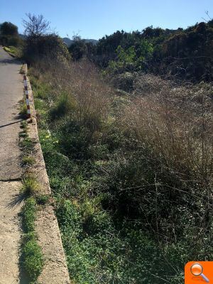 Ciudadanos (Cs) de Alzira sigue denunciando el mal estado de los barrancos