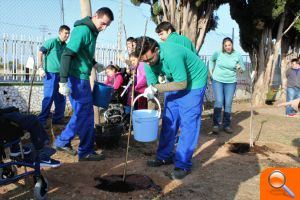 El CEE Pla d'Hortolans inicia la campanya massiva de plantacions en el mes de l'arbre de Borriana - (foto 2) El CEE Pla d'Hortolans inicia la campanya massiva de plantacions en el mes de l'arbre de Borriana - (foto 2)