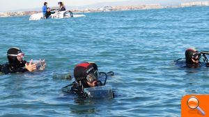 El Oceanogràfic suelta veinte tiburones criados tras ser recogidos por pescadores - (foto 5) El Oceanogràfic suelta veinte tiburones criados tras ser recogidos por pescadores - (foto 5)