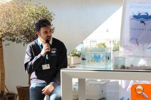 El Oceanogràfic suelta veinte tiburones criados tras ser recogidos por pescadores - (foto 3) El Oceanogràfic suelta veinte tiburones criados tras ser recogidos por pescadores - (foto 3)