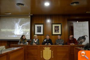 La reintroducció de l'àguila pescadora a la Comunitat començarà a Xàbia