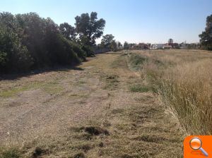 Valenciaport inicia les labors de desbrossament del terreny de Moyresa - (foto 2) Valenciaport inicia les labors de desbrossament del terreny de Moyresa - (foto 2)