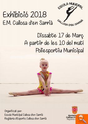 Exhibición de gimnasia rítmica este sábado en el Polideportivo Municipal   - (foto 2)