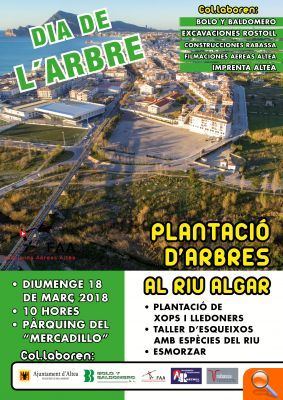 Medio Ambiente celebrará el Día del Árbol este domingo - (foto 2)