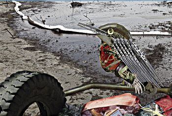 La Fundación Limne y Medio Ambiente organizan una limpieza en la desembocadura del río Amadorio