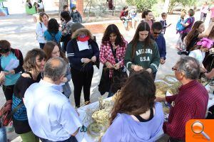 Més de 500 estudiants es donen cita al parc del Molí en la III Marxa Escolar per l’Horta - (foto 3) Més de 500 estudiants es donen cita al parc del Molí en la III Marxa Escolar per l’Horta - (foto 3)