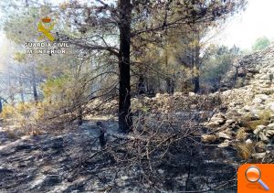 La Guardia Civil investiga a una persona por un incendio forestal en Xert