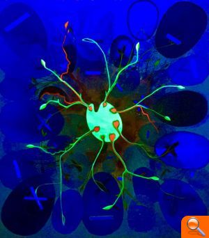 La Nau acoge dos seminarios gratuitos sobre los secretos del cerebro - (foto 2)