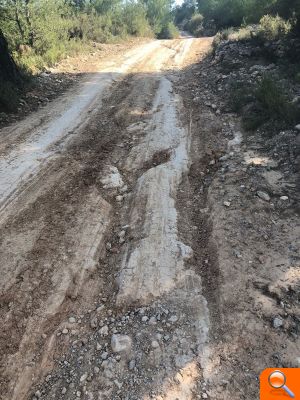 El PP pide activar un plan para analizar el estado de los caminos - (foto 2)