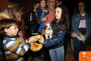 La Basseta cierra el ciclo festivo de Sant Antoni en Vilafamés con un fin de semana muy participativo - (foto 5) La Basseta cierra el ciclo festivo de Sant Antoni en Vilafamés con un fin de semana muy participativo - (foto 5)