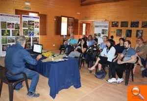 Plantas del Turia que ayudan a mejorar el cuerpo y la mente - (foto 2)