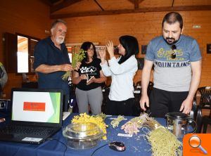 Plantas del Turia que ayudan a mejorar el cuerpo y la mente - (foto 5)