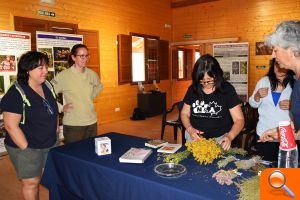 Plantas del Turia que ayudan a mejorar el cuerpo y la mente - (foto 6)