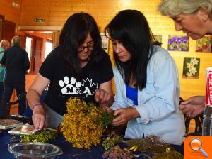 Plantas del Turia que ayudan a mejorar el cuerpo y la mente - (foto 7)