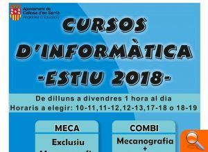 Cursos d'informàtica per als mesos d'estiu