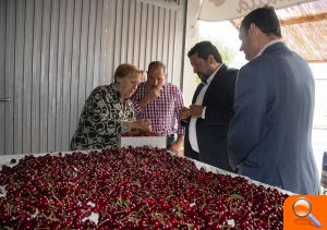 La Diputación impulsa con Castelló Ruta de Sabor el consumo de la cereza autóctona