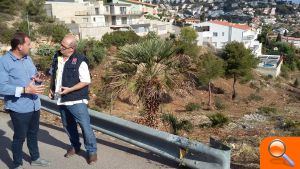 Desbroce y limpieza de fincas municipales para la prevención de incendios  - (foto 2)