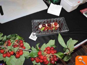 La cirera de la Vall de Gallinera exhibeix tot el seu potencial en una nova jornada de Menja’t la Marina - (foto 4) La cirera de la Vall de Gallinera exhibeix tot el seu potencial en una nova jornada de Menja’t la Marina - (foto 4)