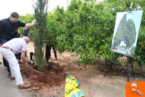 Nules recupera un paisatge natural centenari - (foto 2)