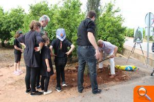 Nules recupera un paisatge natural centenari - (foto 3)