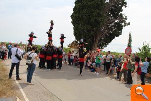 Nules recupera un paisatge natural centenari - (foto 4)