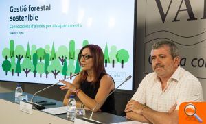 La Diputació aumenta un 25% las ayudas a la gestión forestal sostenible hasta los 2 millones de euros - (foto 2)