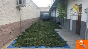 Desmantelan una 'startup' de marihuana en Alicante y detienen a trece personas - (foto 3) Desmantelan una 'startup' de marihuana en Alicante y detienen a trece personas - (foto 3)