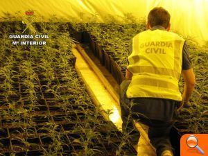 Desmantelan una 'startup' de marihuana en Alicante y detienen a trece personas - (foto 2) Desmantelan una 'startup' de marihuana en Alicante y detienen a trece personas - (foto 2)