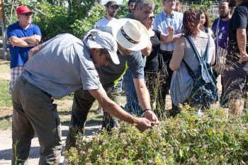 Alaquàs, protagonista en la celebración del III Congreso Estatal de huertos ecológicos urbanos y periurbanos