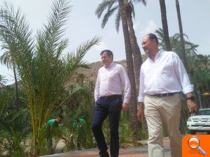 Orihuela cuenta con cerca de 700.000 euros para realizar acciones de protección y conservación en el Palmeral