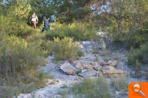 Un enorme vertido ilegal de lodos y basura amenazan el Paisaje Protegido de la Desembocadura del Millars - (foto 2)