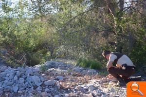 Un enorme vertido ilegal de lodos y basura amenazan el Paisaje Protegido de la Desembocadura del Millars - (foto 3)