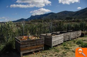 La Comunitat obtiene el importe más alto de ayudas para financiar planes de impulso al medio ambiente