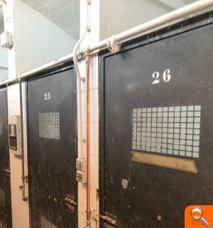 Benestar Animal substitueix una antiga canonada d'aigua del refugi d'animals de Benimàmet - (foto 2)