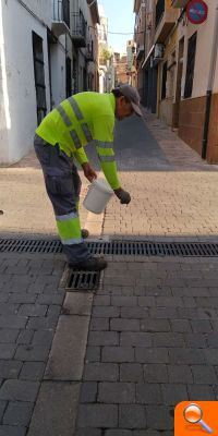 Almenara continua el tractament contra el mosquit tigre - (foto 2) Almenara continua el tractament contra el mosquit tigre - (foto 2)