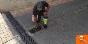 Almenara continua el tractament contra el mosquit tigre - (foto 3) Almenara continua el tractament contra el mosquit tigre - (foto 3)