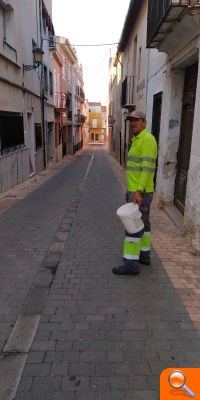 Almenara continua el tractament contra el mosquit tigre - (foto 4) Almenara continua el tractament contra el mosquit tigre - (foto 4)