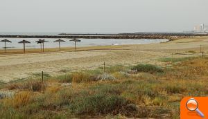 La Diputació impulsa la conservació i protecció dels ecosistemes dunars - (foto 2)