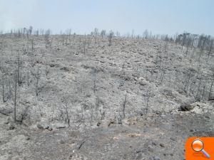L'incendi de Llutxent afecta ja més de mil hectàrees i obliga a desallotjar més de 2.500 persones - (foto 2)