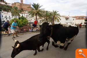 La plaça Sant Ramon guanya el concurs de carrers engalanats - (foto 5) La plaça Sant Ramon guanya el concurs de carrers engalanats - (foto 5)