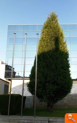 El PP demana a l'alcaldessa que "deixe d'amagar la bandera d'Espanya en l'Ajuntament" - (foto 2)