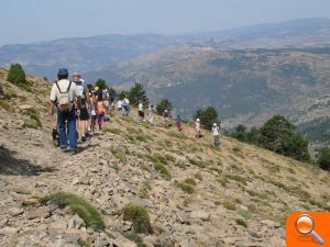 Medio Ambiente recuerda la prohibición de emplear barbacoas portátiles en zonas forestales