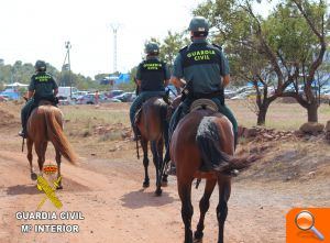 Actuaciones de la Guardia Civil durante el Rototom 2018 - (foto 2) Actuaciones de la Guardia Civil durante el Rototom 2018 - (foto 2)