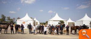 Miles de papelitos de colores llenaron las calles con la Cabalgata de las Fiestas Mayores - (foto 2)
