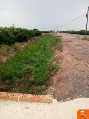 El PP urgeix a netejar les sèquies per a evitar inundacions - (foto 3) El PP urgeix a netejar les sèquies per a evitar inundacions - (foto 3)