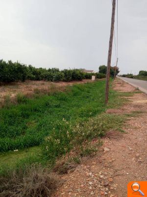 El PP urgeix a netejar les sèquies per a evitar inundacions - (foto 2) El PP urgeix a netejar les sèquies per a evitar inundacions - (foto 2)