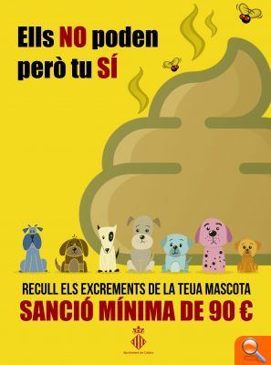 Cullera sancionarà als propietaris que no arrepleguen els excrements de les seues mascotes - (foto 2) Cullera sancionarà als propietaris que no arrepleguen els excrements de les seues mascotes - (foto 2)