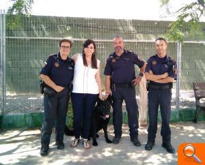 Guanyar exigirá protección municipal para los perros de la unidad canina