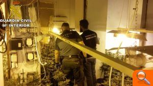 La Guardia Civil desmantela una plantación de marihuana en la modalidad in-door 